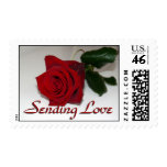love, rose, roses, valentine, valentines,