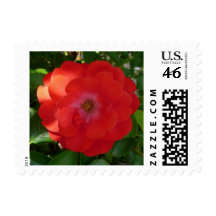 Red Rose small stamp