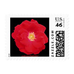 Red Rose Stamp