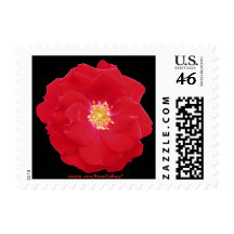 Red Rose Stamp