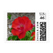 red rose stamp
