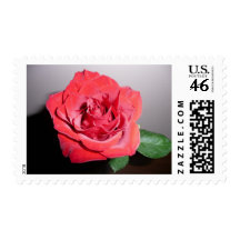 Red Rose Stamp