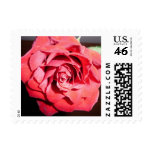 Red Rose Stamp