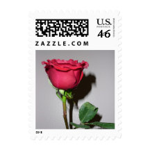 Red Rose Stamp