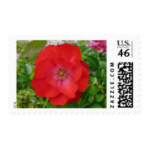 Red Rose Stamp