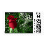 Red Rose Stamp