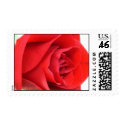 Red Rose Stamp stamp