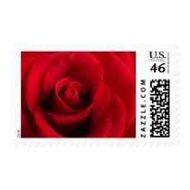 Red Rose stamp