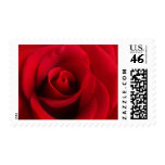 Red Rose stamp