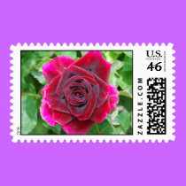 Red Rose Stamp