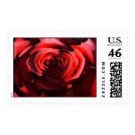 Red Rose stamp