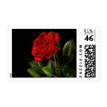 Red Rose Stamps