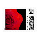 Red Rose Stamps by GoChinook Red Rose Stamps