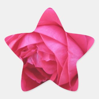 Red Rose Star Sticker