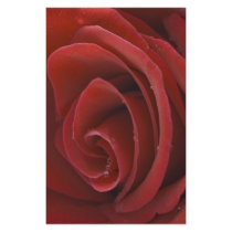 Red Rose Stationary Customized Stationery