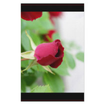 Red Rose stationery