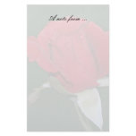 Red Rose Stationery