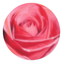 Red Rose stickers by bkang22 Red Rose stickers