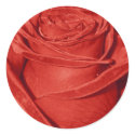 Red Rose stickers