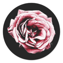 rose, flower, nature, symbol, red, black, rosebud, stern, dark, elegant, nice, gift, eerie, computer, graphic, coupe, love, expression, digital, design, houk, cute stickers, stickers, cool stickers, roses, Sticker with custom graphic design