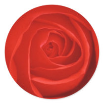 Red Rose Sticker by ggbythebay Red Rose Sticker