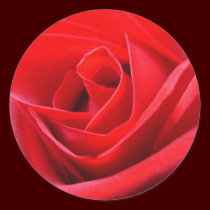 Red Rose Stickers Pink Red Rose Gifts Keepsake stickers