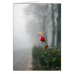 Red Rose Sympathy Card