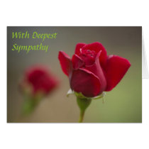 Red Rose Sympathy Greeting Cards