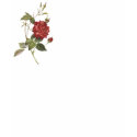 Red Rose T-Shirt