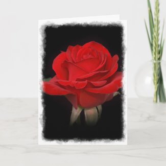 Red Rose Thank You Card card