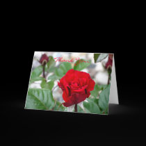 Red Rose Thank You Card cards