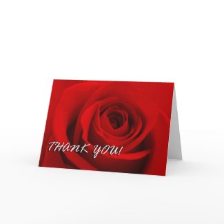 Red Rose Thank you card card