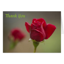 Red Rose Thank You Cards