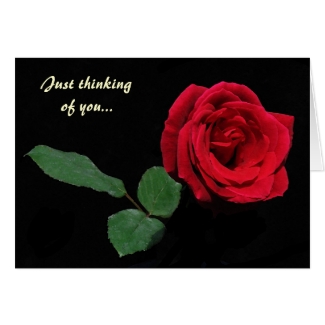 Red Rose Thinking of You