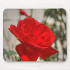 Red Rose Timeless Elegant Mousepad