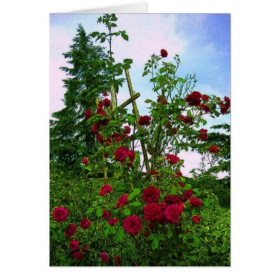 Red Rose Trellis Card by Blacknight