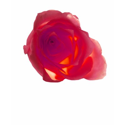 Red Rose Tee Shirt by roimim
