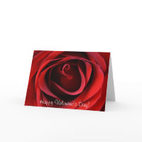 Red Rose Up Close, Happy Valentine's Day! card