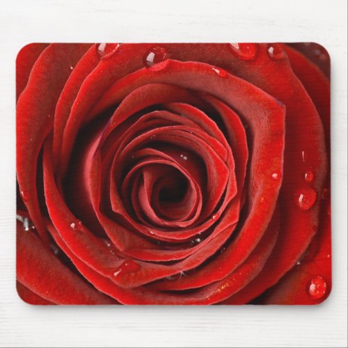 Red Rose Up Close mousepad