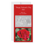 Red Rose Valentine Photo Cards