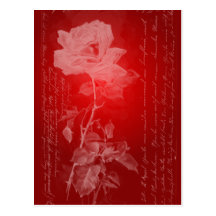 Red Rose Valentine Postcard