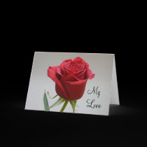 Red Rose Valentine-with Buddha quote cards