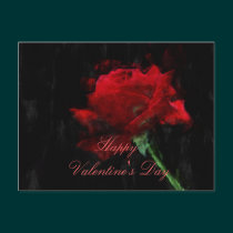 Red Rose Valentine's Day Art Postcard postcards