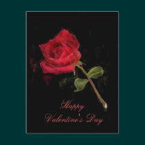 Red Rose Valentine's Day Art Postcard postcards
