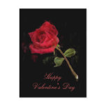 Red Rose Valentine's Day Art Postcard
