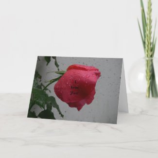 Red Rose Valentine's Day card card