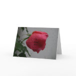 Red Rose Valentine's Day card