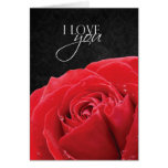 Red Rose & Water Droplets | I Love You Card cards