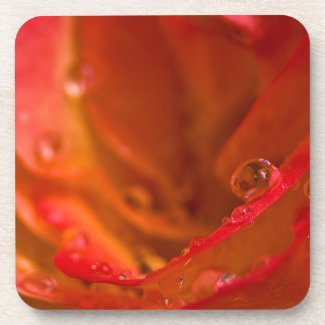 Red Rose Waterdrop Cork corkcoaster