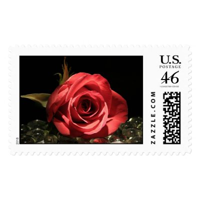 Red Rose Wedding Decorations Postage Stamps by TDSwhite